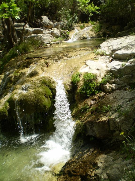 Milopotamos  Athena Hotel מראה חיצוני תמונה